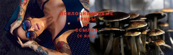 твердый Медвежьегорск