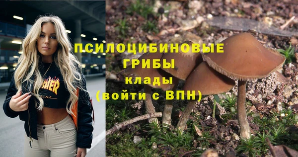 крисы Верхнеуральск